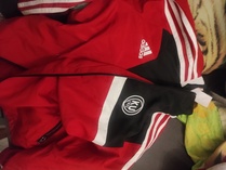 Adidas tuulitakki, koko 152, 10€
myyjä Lehtinen